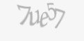 Защитный код