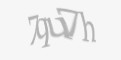 Защитный код