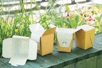 Упаковка для лапши самосборная ECO NOODLES
